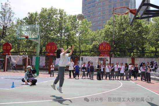 如何为前锋设计高效的篮球训练方案_1